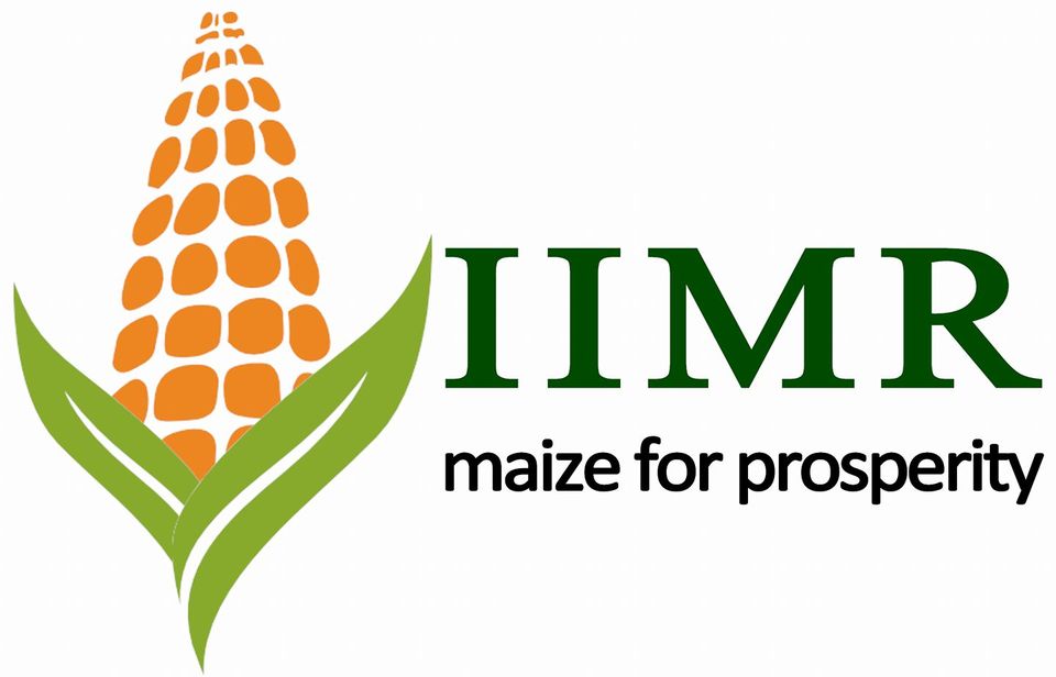 IIMR